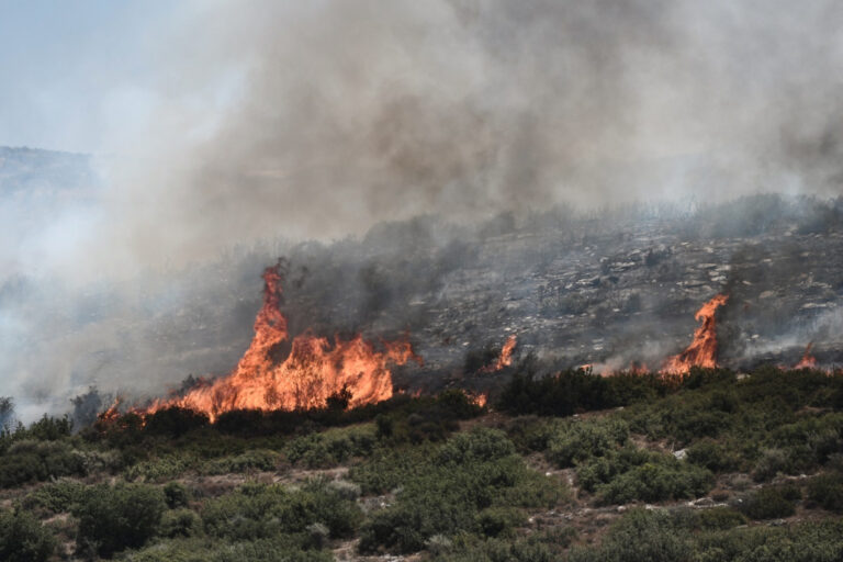 Mudanças climáticas trouxeram condições meteorológicas extremas neste ano, diz ONU