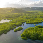 Google investe R$ 20 milhões em ações climáticas no Brasil