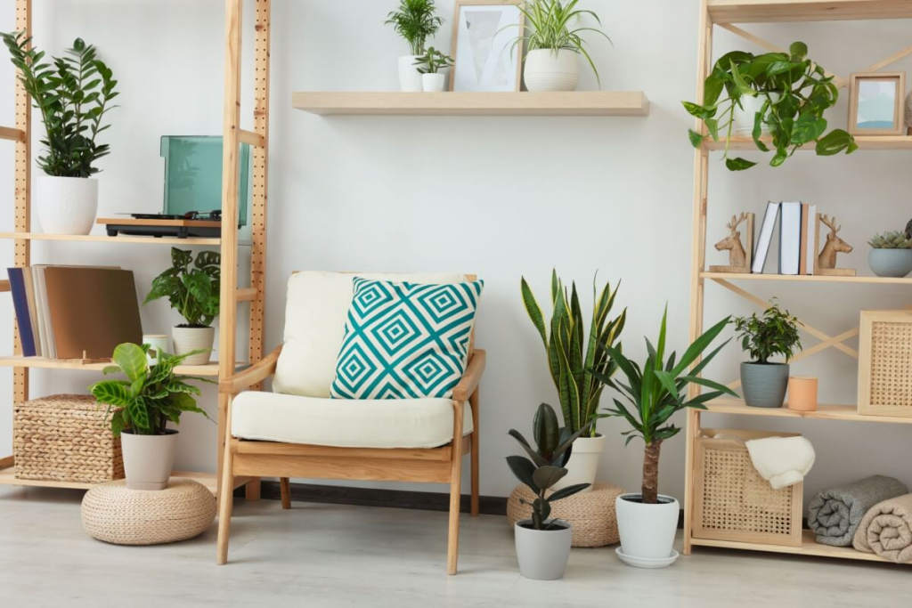 7 plantas para ter em apartamento