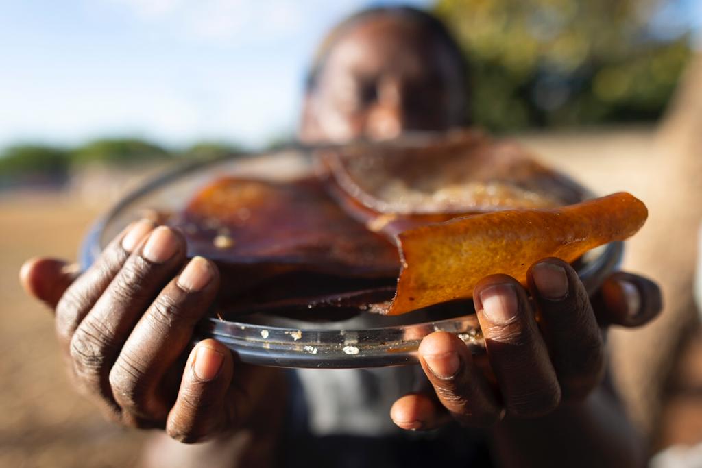 Insegurança alimentar afeta mais famílias de mães solo negras