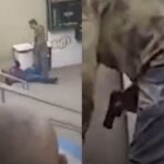 Vídeo: guarda civil de folga saca arma e agride vendedor em estação