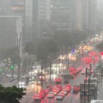 Chuva em São Paulo derruba árvores, causa engarrafamento e deixa quase 425 mil pessoas sem luz