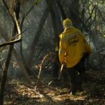 Amazônia tem o maior número de queimadas e incêndios em 17 anos