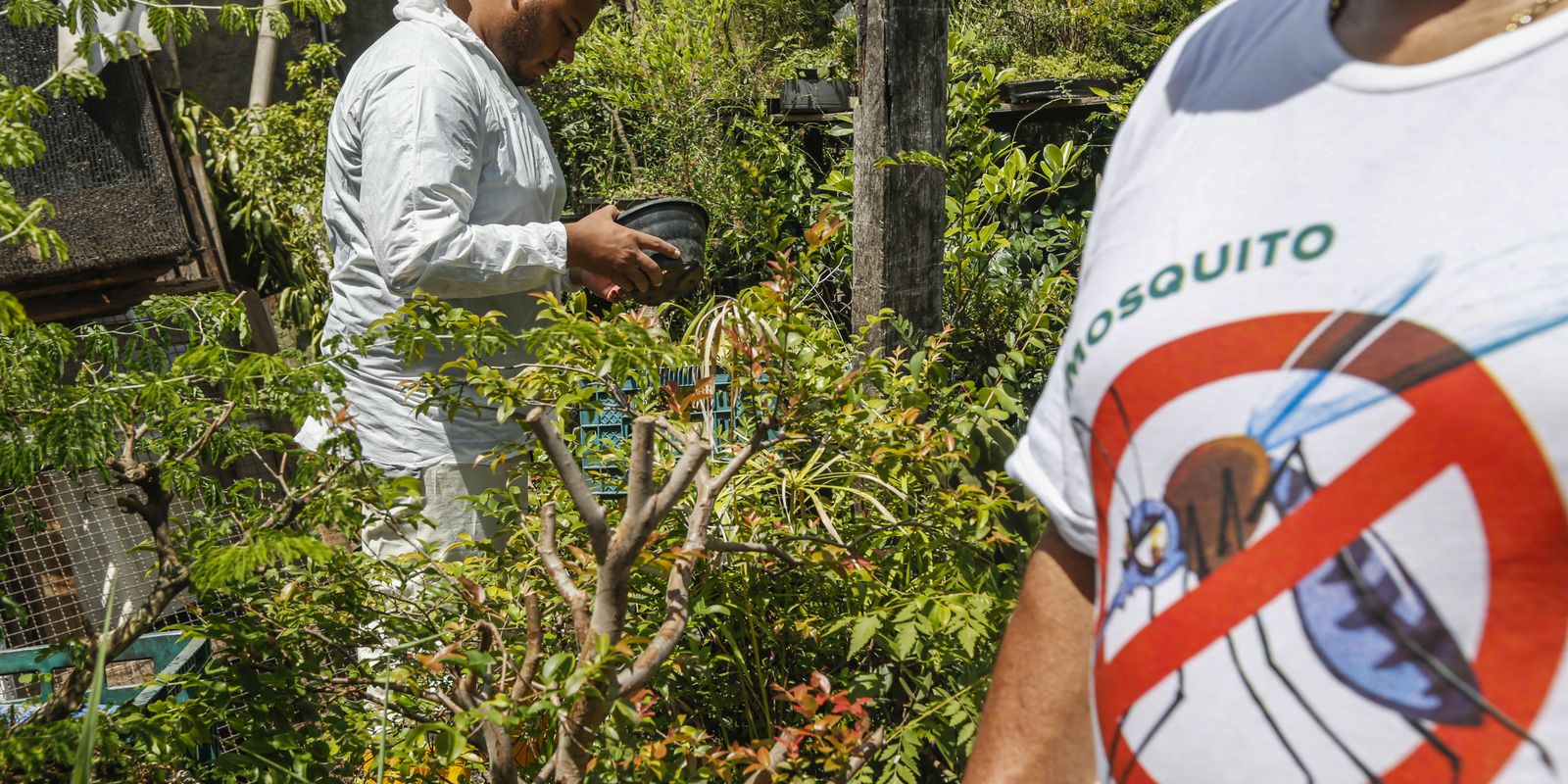 Saúde anuncia novas tecnologias de combate à dengue em MG