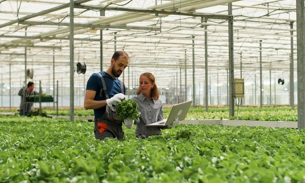 Cooperativas do agro: casos de sucesso, preservação e transformação do Brasil