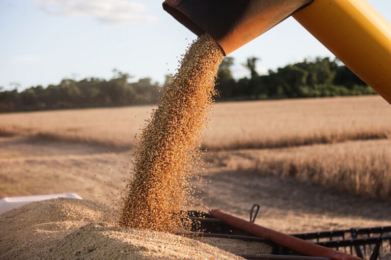 Soja a céu aberto será realidade em 2025?