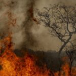 Desastres climáticos aumentaram 250% nos últimos quatro anos no país