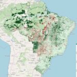 Brasil tem 95 milhões de hectares a espera de ações de restauração