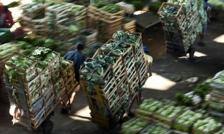 Ceagesp registra alta de 3,25% nos preços de alimentos em novembro