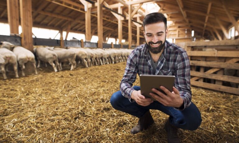 Profissões do agro: salários e habilidades-chave para 2025