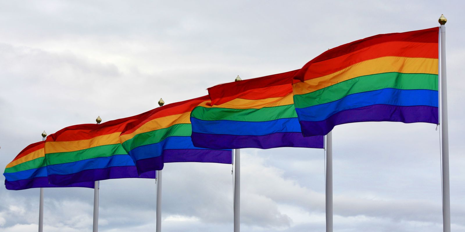 Serviço público uniformiza coleta de dados da população LGBTQIA+