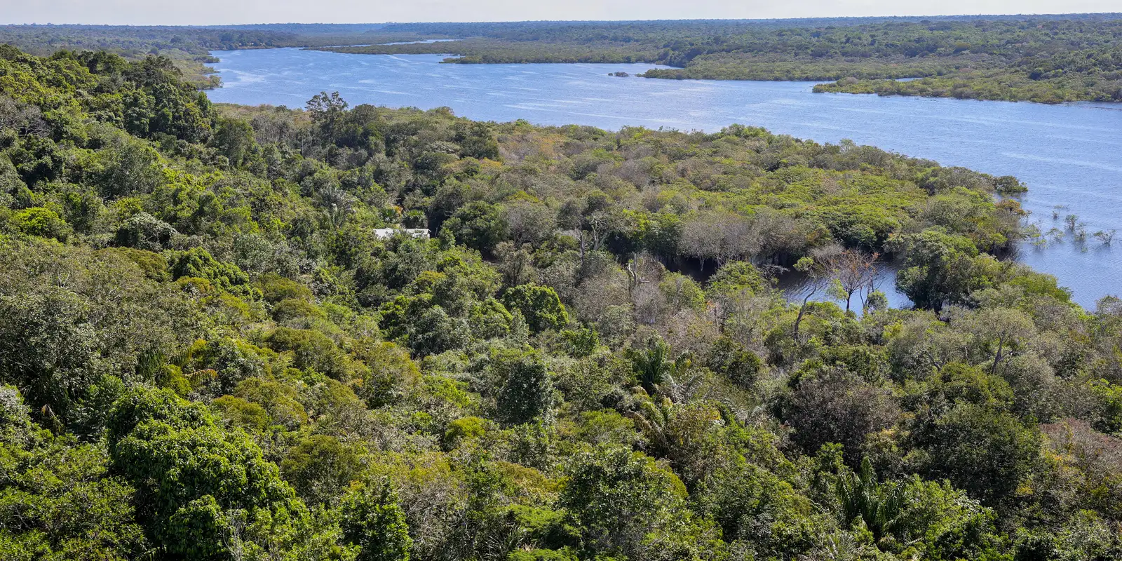 Conflito por território é principal gerador de violência na Amazônia