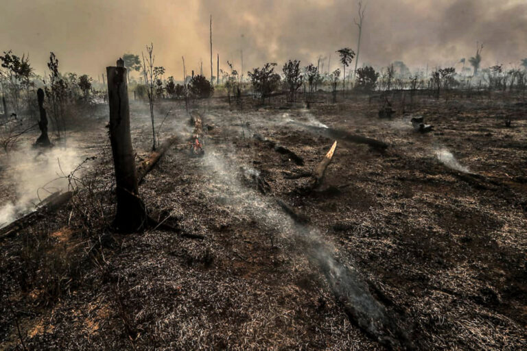 Brasil bate recorde de áreas queimadas em 2024