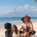 Férias chegam e trazem um dilema: viajar ou não com os pets?