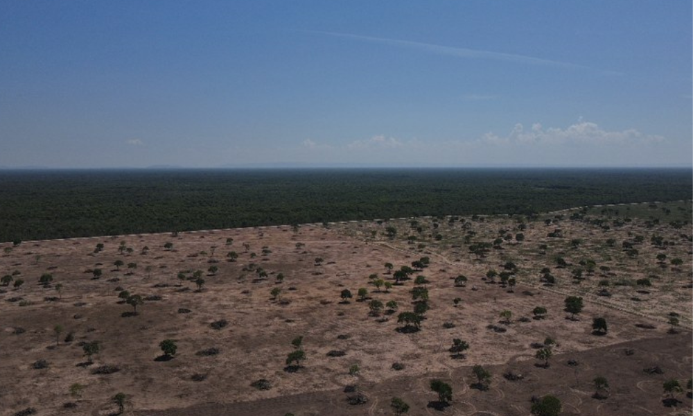 AGU busca recuperar R$ 725 milhões por danos ambientais no Pantanal