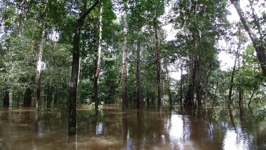 Amazônia ganha torre de pesquisa para estudo de metano e CO2