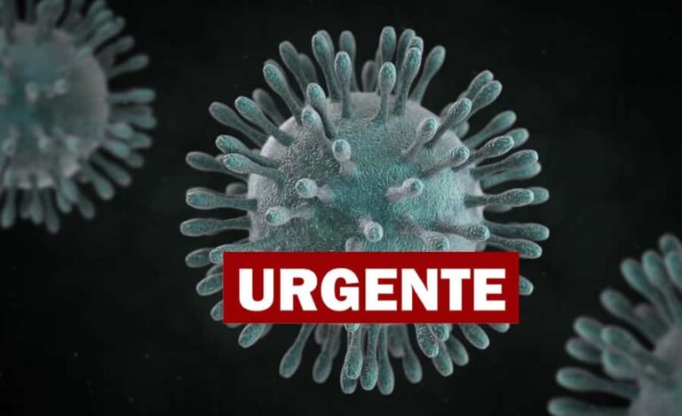 Novo vírus respiratório coloca autoridades mundiais em alerta. Saiba mais sobre o HMPV – X Tudo Ribeirão