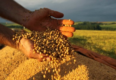 Bancada ruralista se opõe à redução de tarifas sobre alimentos