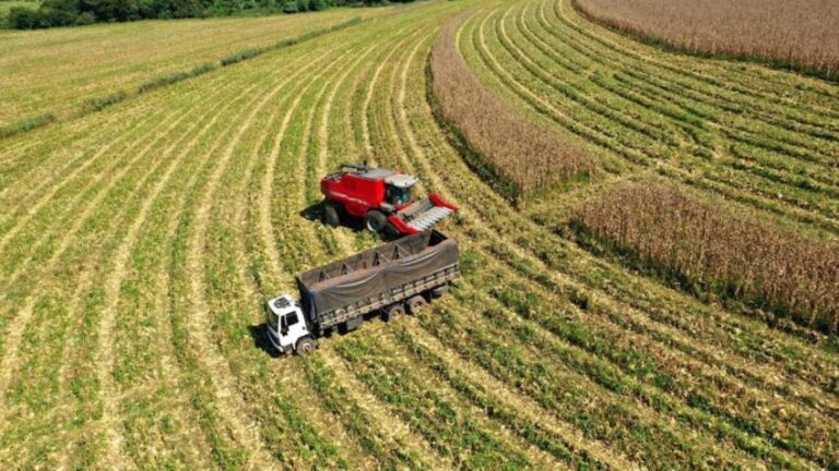 Agro paulista registra alta de 5,8% nas exportações em 2024