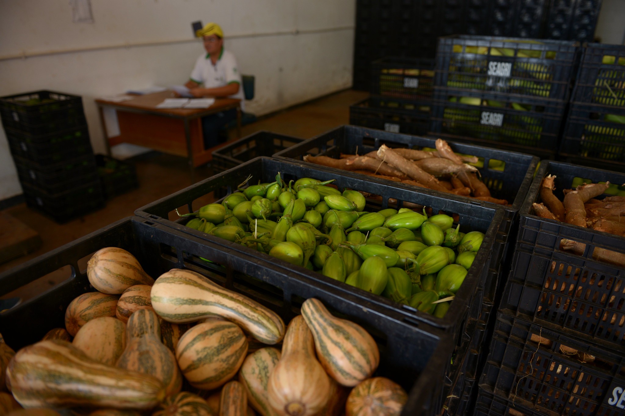 Governo abordará “todas as variáveis” para deflacionar alimentos, diz Paulo Teixeira