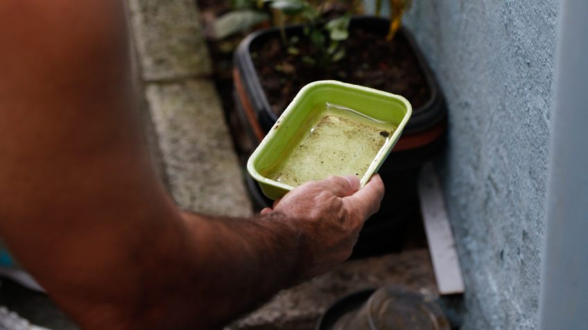 Dengue matou mais que covid no Brasil em 2024