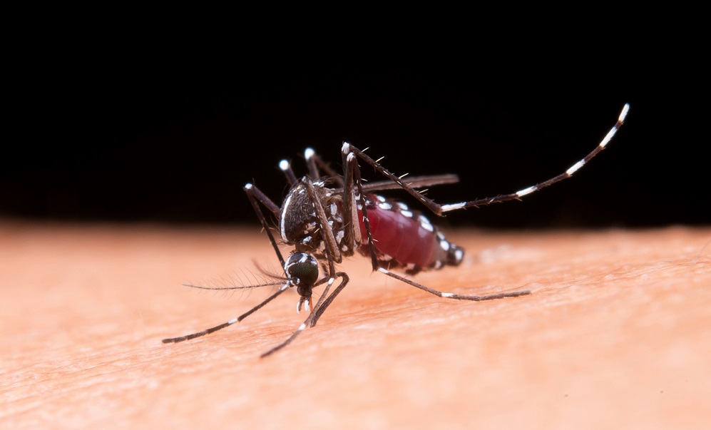 Ministério da Saúde encaminha 6,5 milhões de testes rápidos de dengue para todo Brasil