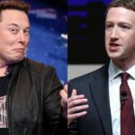 Elon Musk enaltece mudança de Zuckerberg na Meta sobre verificação digital