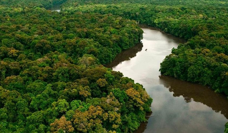 Governador do MT volta atrás e veta projeto de reclassificação da Amazônia