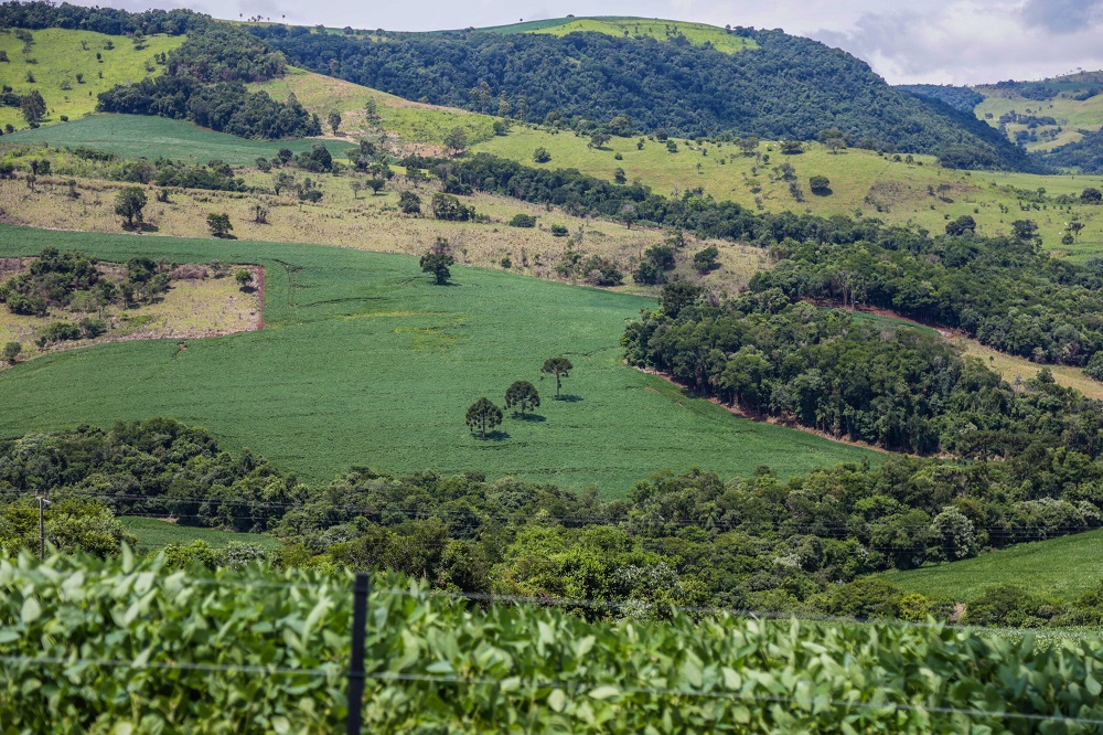 Oportunidades para o agro do Brasil na era Trump