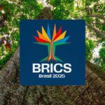 Brics têm mais de 40% da população e 37% do PIB mundiais