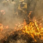 Incêndios na Amazônia Legal aumentam 42% em 2024, mas desmatamento cai 30%