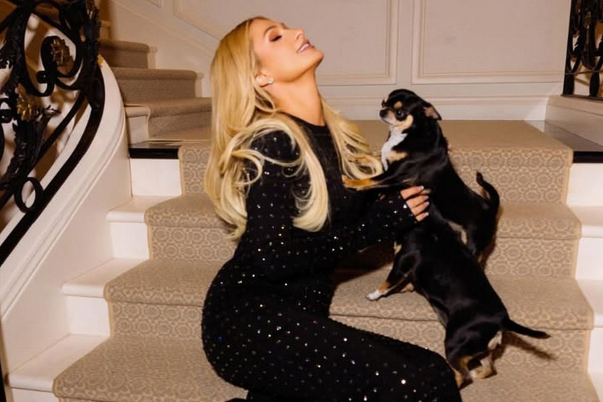 Paris Hilton compartilha vídeo fofo do filho com suas cachorras clonadas