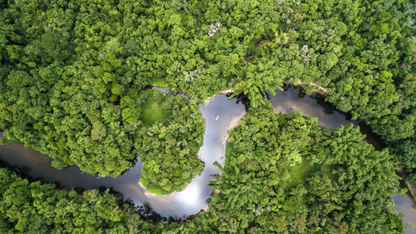 Mato Grosso aprova lei que reclassifica Amazônia como Cerrado