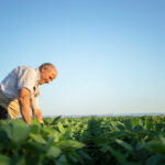 Brasileiros reconhecem o agro como força econômica