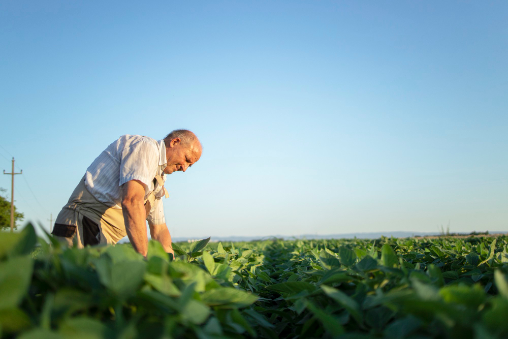 Brasileiros reconhecem o agro como força econômica