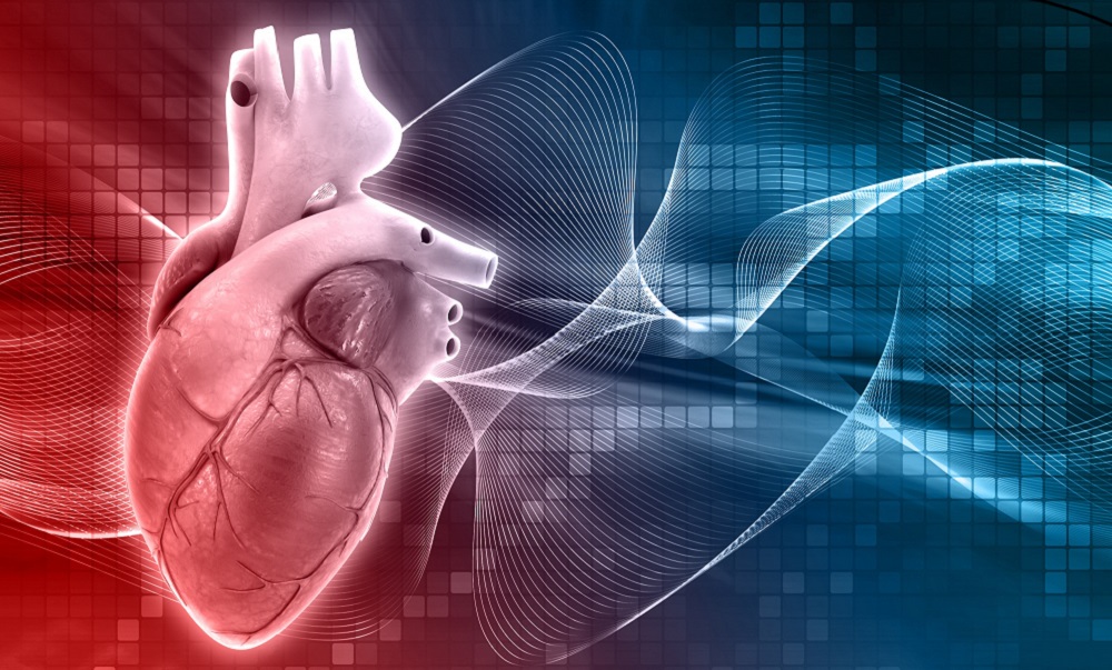 Do marcapasso à cardioneuroablação: a evolução do tratamento das arritmias cardíacas