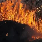 Nova lei destina R$ 514 milhões para combate às queimadas na Amazônia