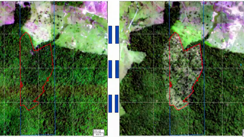 BNDES usa imagens de satélite para barrar empréstimo a desmatadores