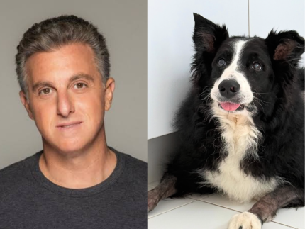 Luciano Huck lamenta morte de seu cachorro após sofrer ataque de jararaca