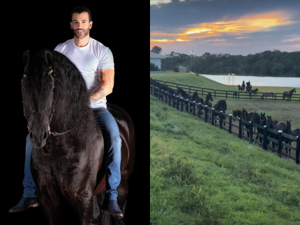 Haras do Embaixador: Gusttavo Lima mostra seus cavalos e éguas de raça premiados