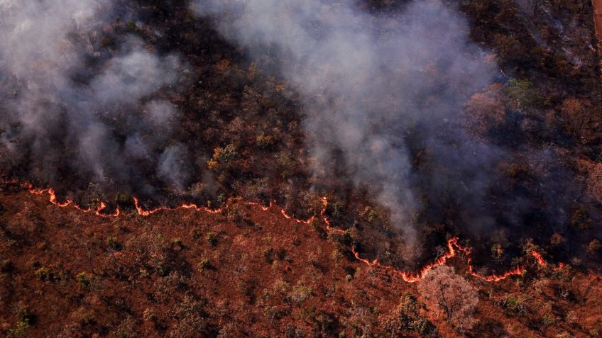 Brasil começa 2025 com 3.137 focos de incêndio