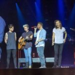 One Direction é convidado para homenagem a Liam Payne; saiba decisão dos membros