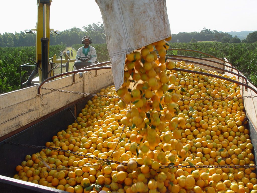 Suco natural é mesmo saudável? O lado oculto da bebida