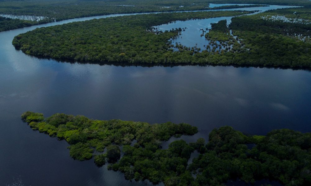 Experiência única: Turismo Sustentável no Amazonas