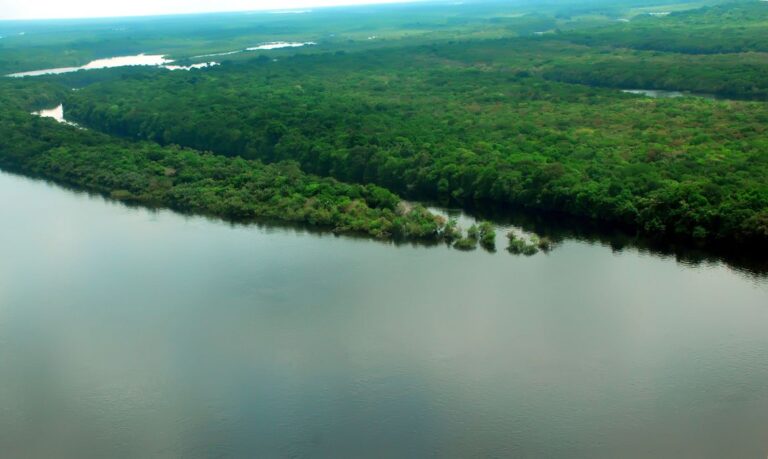 Governo lança edital para concessão da Floresta do Jatuarana