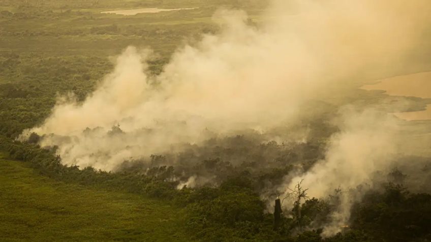 Pantanal teve 10.825 hectares queimados em janeiro de 2025