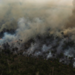 COP30 será “oportunidade” para enfrentar crise climática, diz Fapesp