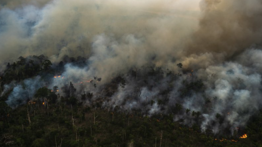 COP30 será “oportunidade” para enfrentar crise climática, diz Fapesp