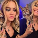 Rita Ora sofre com a morte do gato Bruno