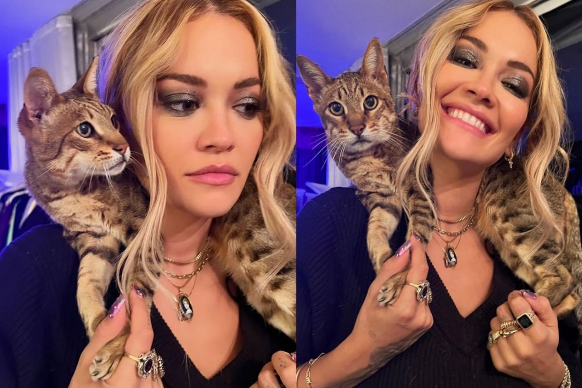 Rita Ora sofre com a morte do gato Bruno